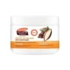 Traitement Intense Revitalisant Pour Boucles CACAO & BIOTINE 340g (Deep Conditioner)